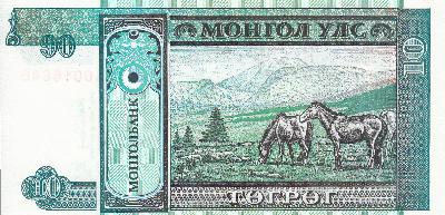 Beschrijving achterzijde: HORSES